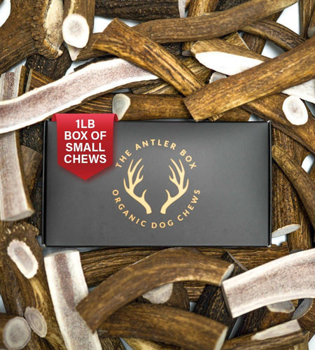 Premium Elk Antler Dog Chews (1 Pound Box) (Small (7-8 Pieces) Whole/Split Mixed)